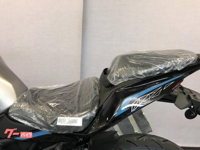 カワサキ Ninja ZX－25R SE 2024 メタリック