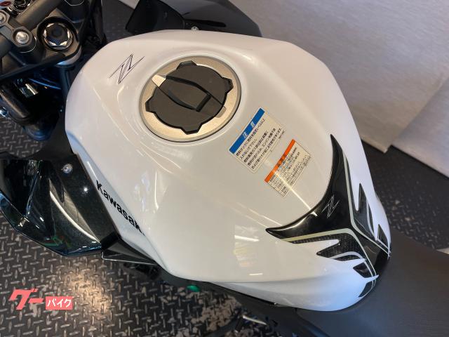 カワサキ Z250 2019 EX250P LEDヘッドライト