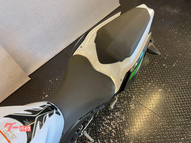 カワサキ Z250 2019 EX250P LEDヘッドライト
