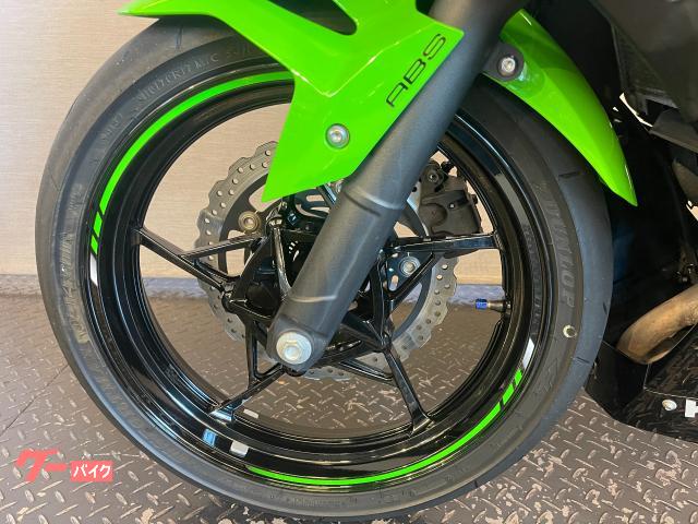 カワサキ Ｎｉｎｊａ ２５０ ２０１８ ＥＸ２５０Ｐ エンジンスライダー カスタムレバー タンクパッド 給油口カバー シガー電源｜（株）バイクプラザヤマノ  ｜新車・中古バイクなら【グーバイク】