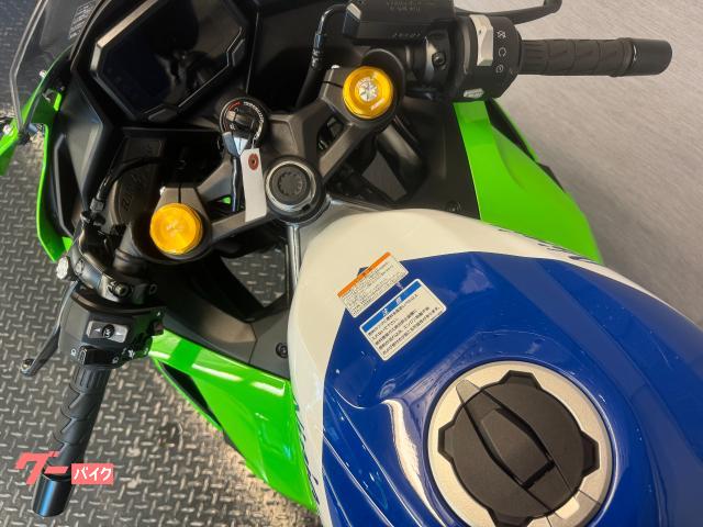 ◎限定セール◎★ほぼ新品★【廃盤品】ナノフレア700 初期カラー 4UG5 カワサキ Ninja ZX－4RR 40th