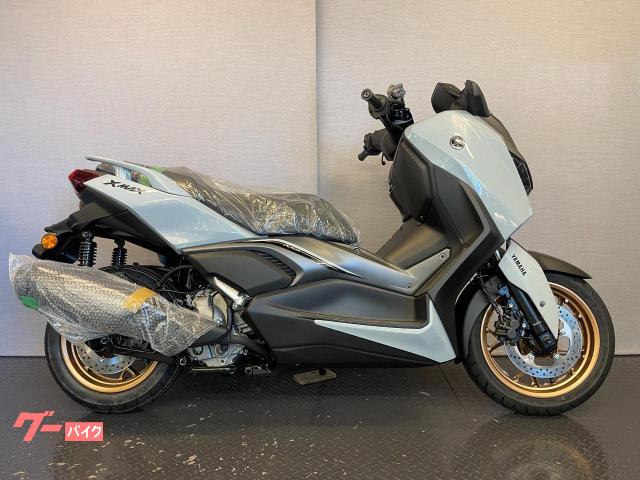 ヤマハ X－MAX250 8BK－SGA8J ブルーイッシュグレー