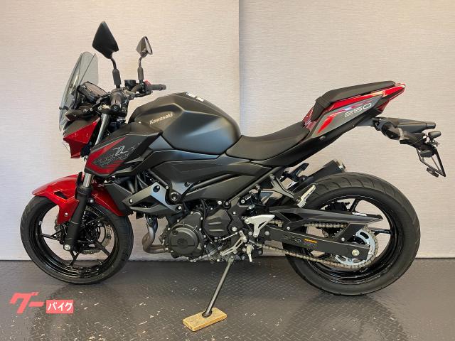 カワサキ Z250 2BK－EX250P 2021モデル 前後ドラレコ