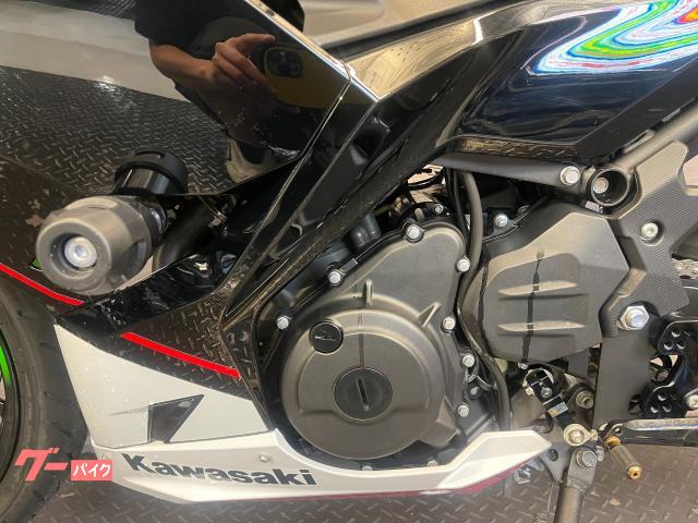 カスタムPGX グァバ杢 PMG内部機構付き カスタムPGX グァバ杢 PMG内部機構付き