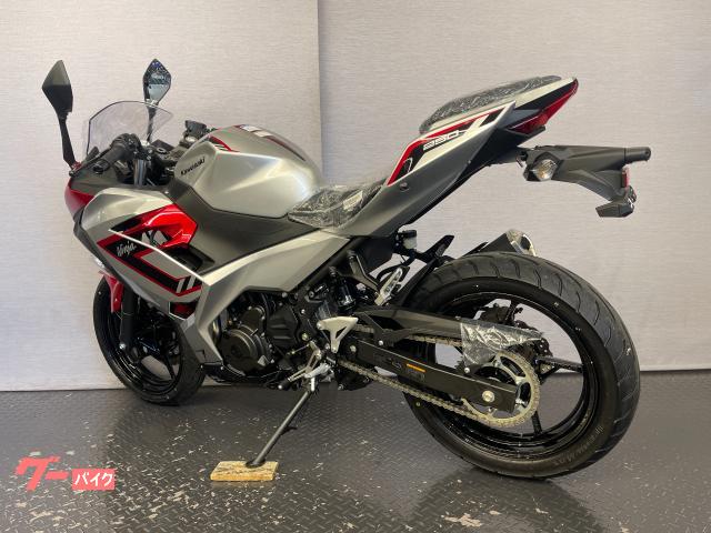 カワサキ Ninja 250 8BK－EX250Y ギャラクシー