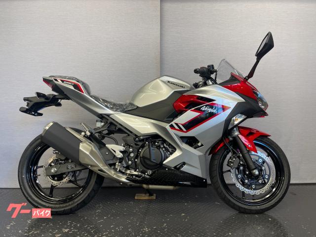 カワサキ Ninja 250 8BK－EX250Y ギャラクシー