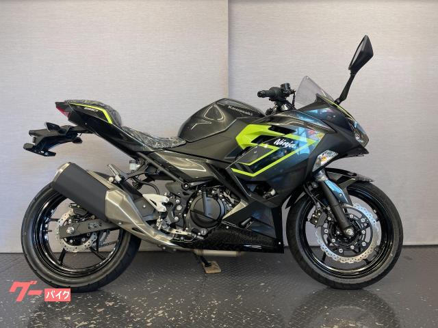 カワサキ Ninja 250 8BK－EX250Y メタリックカーボン