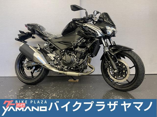 Ｚ２５０　８ＢＫ−ＥＸ２５０Ｙ　エボニー　×　メタリックカーボングレー