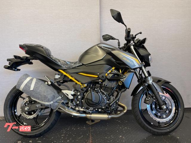ヒマラヤさん専用② カワサキ Z250 8BK－EX250Y メタリックマットグラフェン