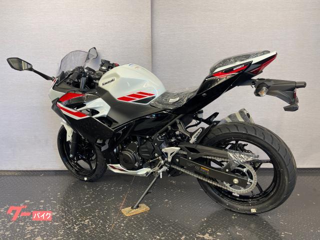 カワサキ Ninja 250 8BK－EX250Y パールロボティック