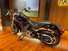 ＨＡＲＬＥＹ－ＤＡＶＩＤＳＯＮ ＦＸＬＲ　ソフテイル　ローライダー　グリップヒーター　ナンバーレイダウン　ウインカーエクステンションの画像（岡山県