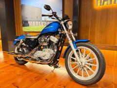 ＨＡＲＬＥＹ−ＤＡＶＩＤＳＯＮ　ＸＬ８８３　Ｓ＆Ｓエアクリーナー　ローダウンリアショック　社外ウインカー　ナンバーレイダウン　純正ＯＰフットペグ