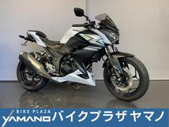 カワサキ　Ｚ２５０　ＪＢＫ−ＥＲ２５０Ｃ　２０１４モデル　フェンダーレスキット　ウインドスクリーン　カスタムミラー　カスタムレバー