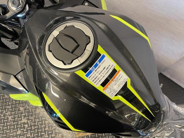 カワサキ Ninja 250 8BK－EX250Y メタリックカーボン