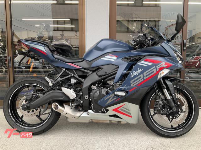 Ｎｉｎｊａ　ＺＸ−２５Ｒ　ＳＥ　２０２２年モデルカラー