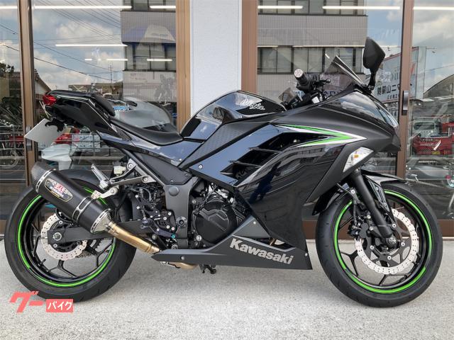 Ｎｉｎｊａ　２５０