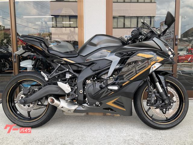 Ｎｉｎｊａ　ＺＸ−２５Ｒ　ＳＥ