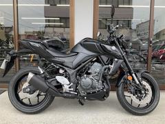 ヤマハ　ＭＴ−０３（３２０ｃｃ）　２０２５年モデル