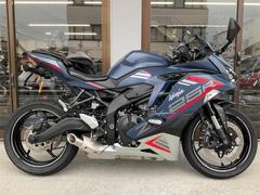 カワサキ　Ｎｉｎｊａ　ＺＸ−２５Ｒ　ＳＥ　２０２２年モデルカラー