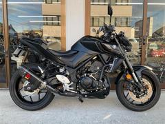 ヤマハ　ＭＴ−０３（３２０ｃｃ）