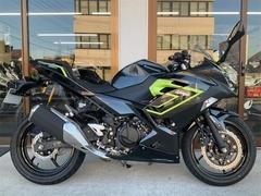 カワサキ　Ｎｉｎｊａ　２５０　２０２６年モデルカラー