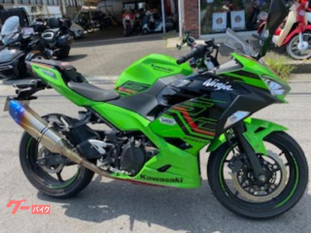 Ｎｉｎｊａ　２５０