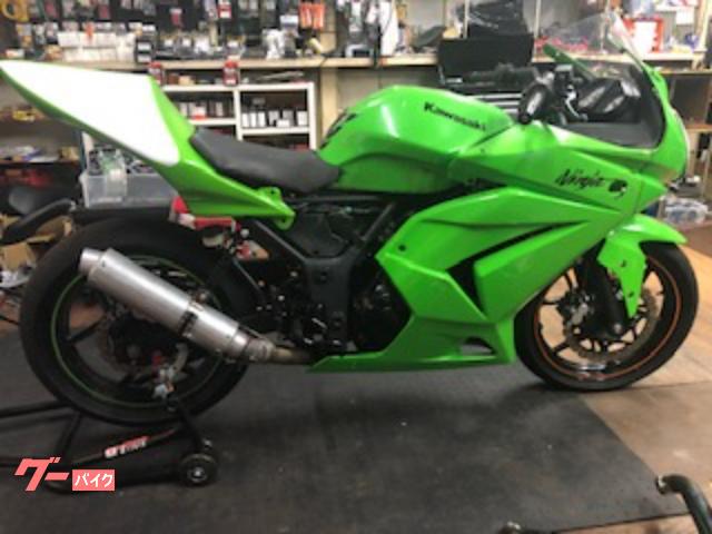 Ｎｉｎｊａ　２５０