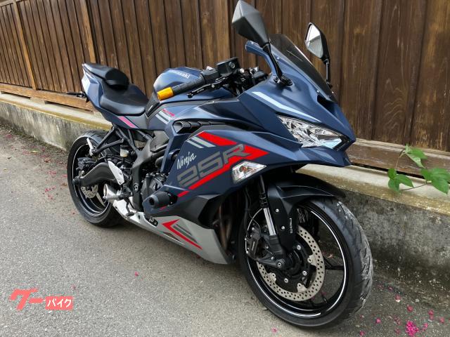 Ｎｉｎｊａ　ＺＸ−２５Ｒ