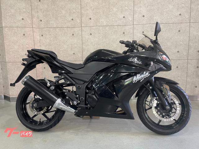 Ｎｉｎｊａ２５０Ｒ　２０１２年モデル　メタリックスパークブラック