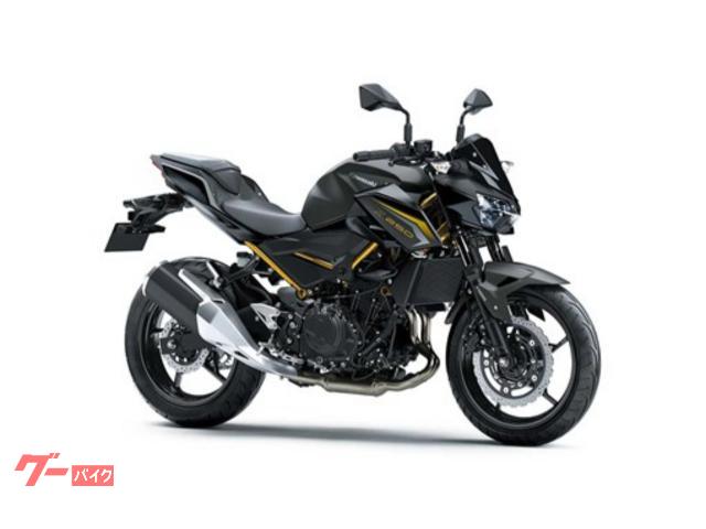 Ｚ２５０