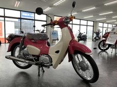 グーバイク ホンダ スーパーカブ１１０ 天気の子ｖｅｒ スーパーカブ110 ホンダ のバイク検索結果一覧 1 2件