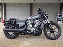 ＨＡＲＬＥＹ−ＤＡＶＩＤＳＯＮ　ＲＨ９７５　ナイトスター