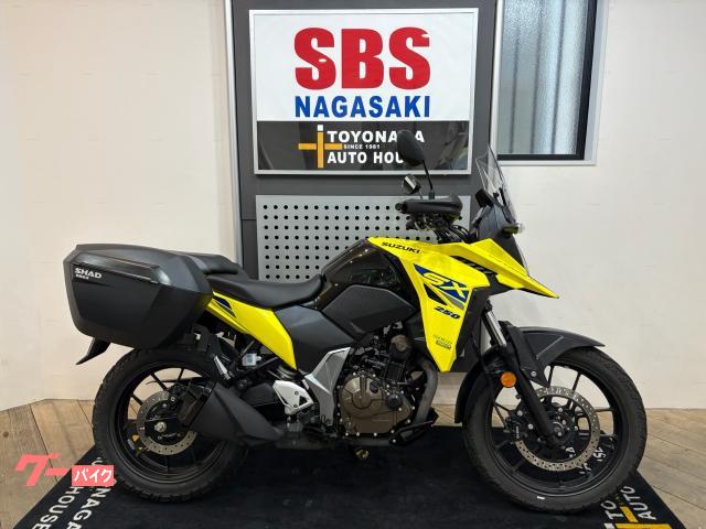 Suzuki V- 250SX — миниатюра 2