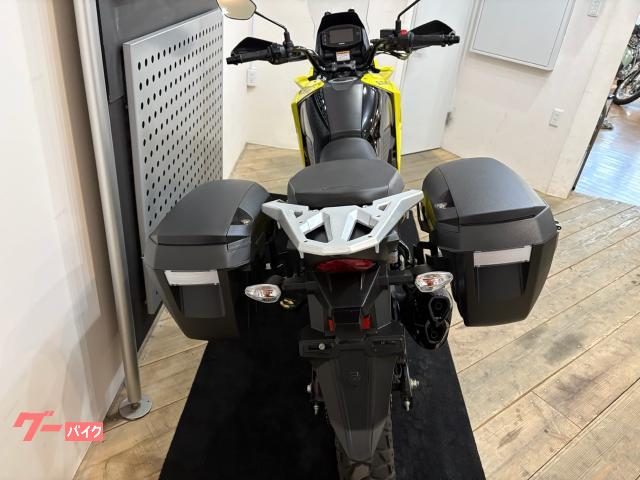 Suzuki V- 250SX — миниатюра 6