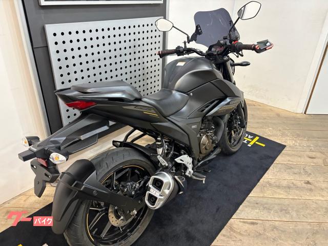Suzuki GIXXER 250 — миниатюра 4
