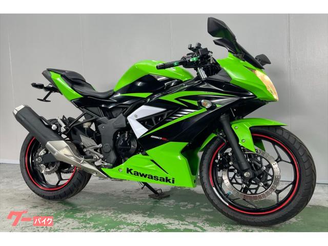 Ｎｉｎｊａ　２５０ＳＬ　ＢＸ２５０Ａ　２０１５年モデル　ノーマルコンディション