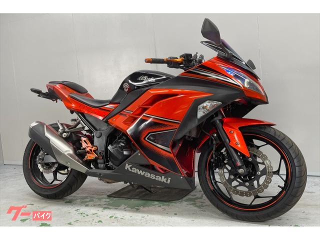 Ｎｉｎｊａ　２５０　ＥＸ２５０Ｌ　２０１４年モデル　バックステップ　フェンダーレス