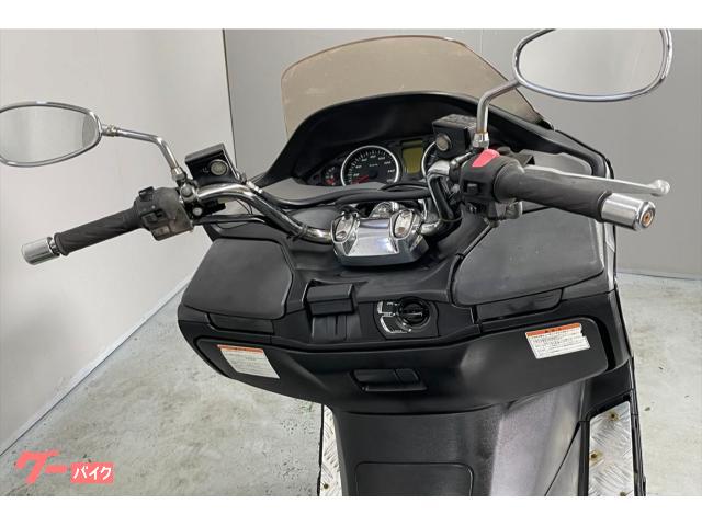 ハイビスカス スズキ スカイウェイブ250 タイプS CJ44A 2007年