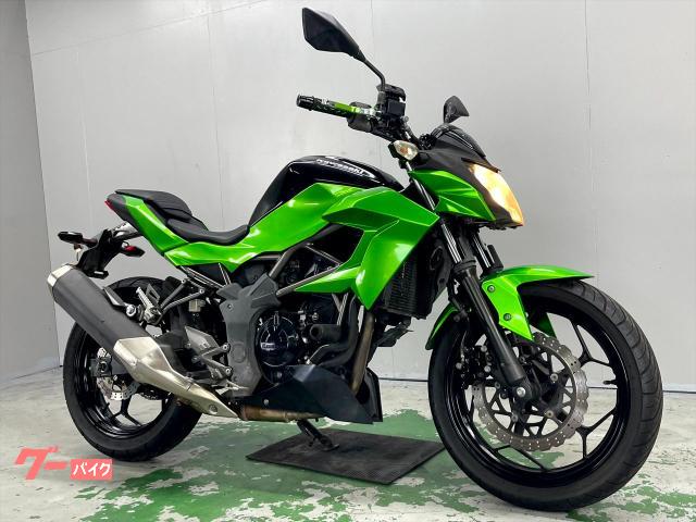 Ｚ２５０ＳＬ　ＢＲ２５０Ｅ　２０１６年モデル　ノーマルコンディション　ＢＲ２５０ＥＧＦ