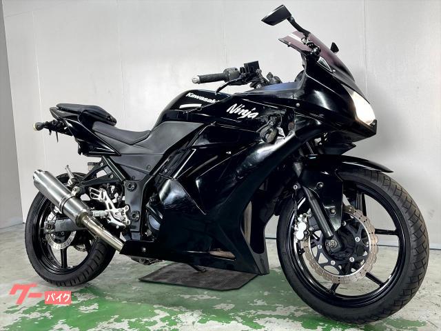 Ｎｉｎｊａ　２５０Ｒ　ＥＸ２５０Ｋ　２０１９年モデル　逆輸入車　マフラー　バックステップ　フェンダーレス　スクリーン　ミラー