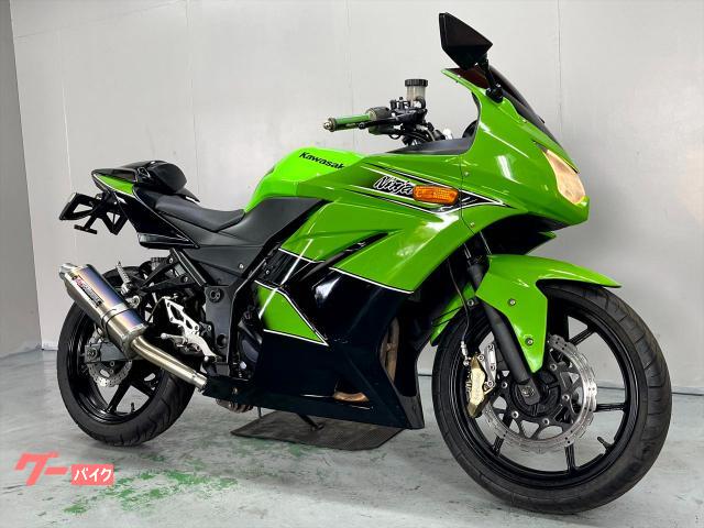 Ｎｉｎｊａ　２５０Ｒ　ＥＸ２５０Ｋ　２００９年モデル　社外マフラー　バックステップ　ブレンボキャリパー　シングルシート