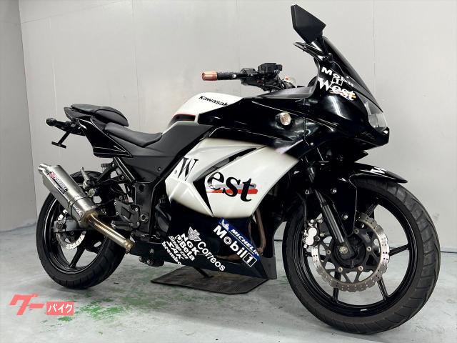 Ｎｉｎｊａ　２５０Ｒ　ＥＸ２５０Ｋ　２０１２年モデル　社外マフラー　フェンダーレス　経済的　フルカウル
