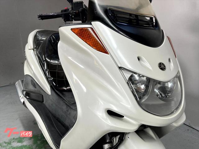 ヤマハ マジェスティC SG03J 2003年モデル エナメルシート