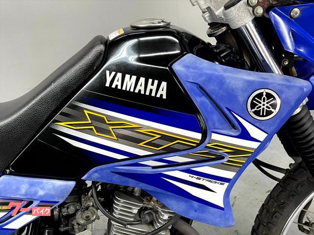 ヤマハ XTZ125E 2006年モデル フルサイズオフロード 走行