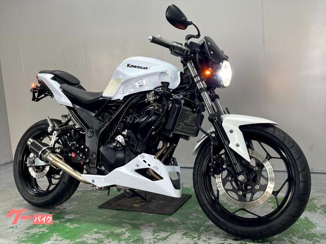 Ｚ２５０　ＥＲ２５０Ｃ　２０１４年モデル　社外マフラー　バックステップ　ネイキッド仕様　インジェクション　ＬＥＤライト
