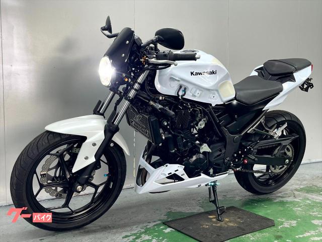 ★お支払い総額19.8万円★ カワサキ Z250 ER250C 2本だし社外マフラー！ 社外テール！カスタムあり！ ETC付き♪ ツーリングに♪ 関東圏内即日配送可能です！ カワサキ Z250 ER250C 2014年モデル 社外マフラー