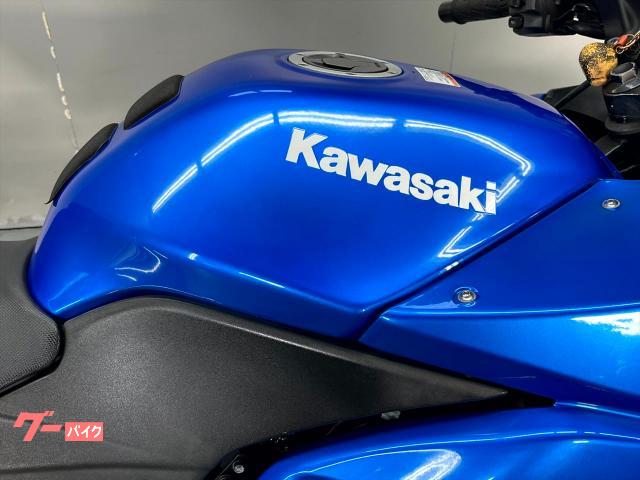 ニンジャ 250 インジェクション車　2008 Ninja 250R | カワサキ名車列伝 | カワサキイチバン