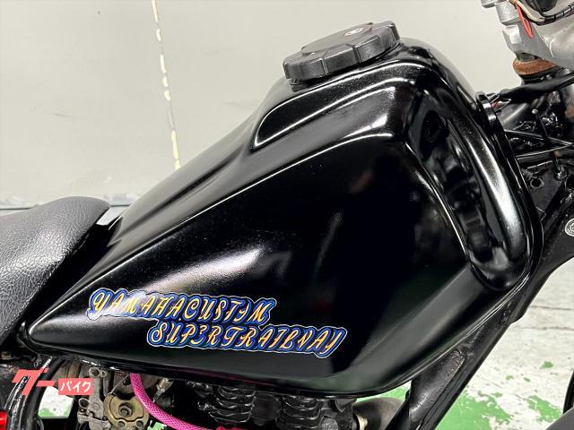 ヤマハ TW200 スパトラ スカチューン ヤマハ TW200E ロンスイ スカチューン フラットフェンダー