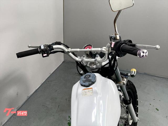 ヤマハ TW200 DG07J 2001年モデル スパトラマフラー