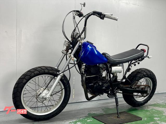 ヤマハ TW200 2JL 1996年モデル ロンスイ スカチューン